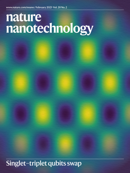 Nature Nanotechnology cover